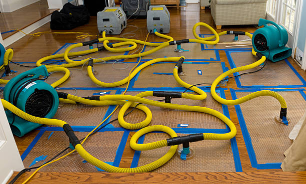 Professional Flood Damage Restoration technician working in Jayess, MS